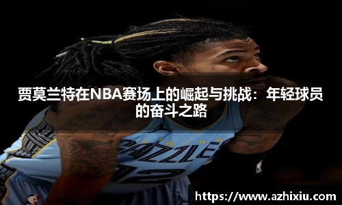 易倍体育官方网站